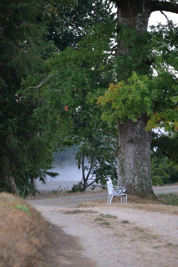 Domaine De Bort Bed & Breakfast Saint-Priest-Taurion Luaran gambar